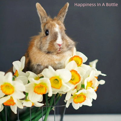 Happiness In A Bottle/Brenton Bowling