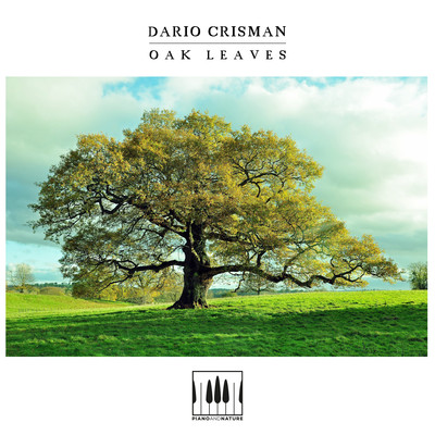 シングル/Oak Leaves/Dario Crisman