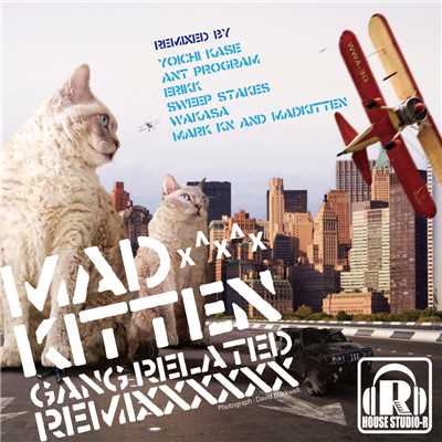 Gang Related ( Ant Program Remix )/Madkitten