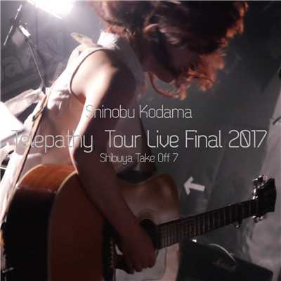アルバム/Telepathy Tour Live Final 2017 Shibuya Take Off 7/小玉しのぶ