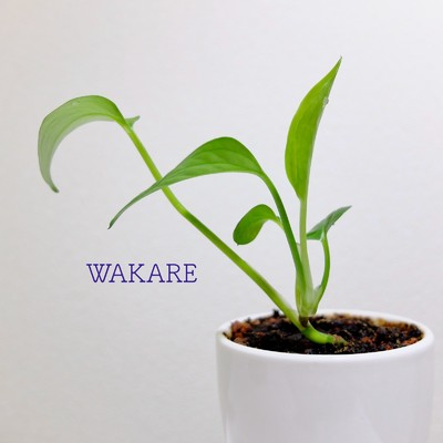 Give Up All Hope (WAKARE Version)/豊田 浩平