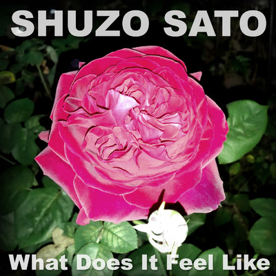 シングル/What does it feel like/Shuzo Sato