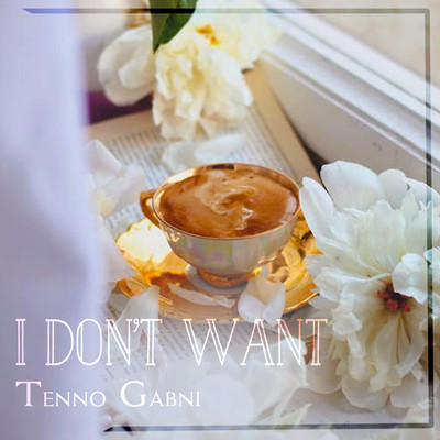 アルバム/I Don't Want/Tenno Gabni