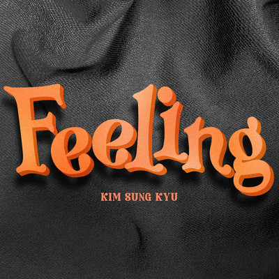 Feeling/Kim Sung Kyu