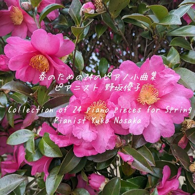 アルバム/春のための24のピアノ小曲集/野坂優子