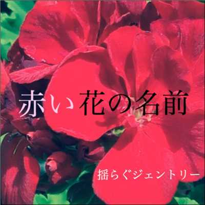 アルバム/赤い花の名前/揺らぐジェントリー