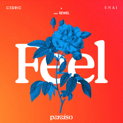 FEEL (feat. REWEL)/C3DRIC & USAI