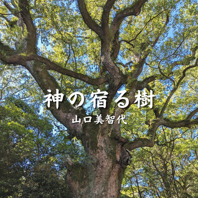 シングル/神の宿る樹/山口美智代