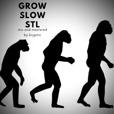 シングル/Grow Slow/STL