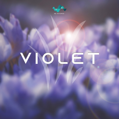 Violet/NS Records