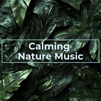 アルバム/Calming Nature Music/Nature sounds for deep sleep
