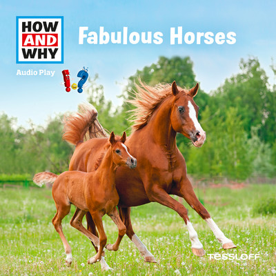 シングル/Fabulous Horses - Part 17/HOW AND WHY
