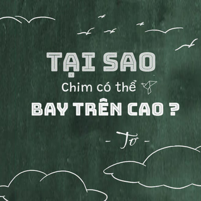 シングル/Tai sao chim co the bay tren cao ？ (Beat)/To