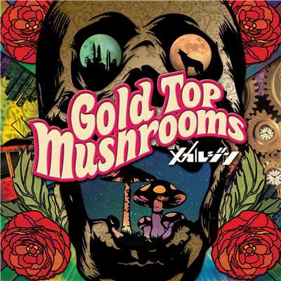 Gold Top Mushrooms/メカルジン