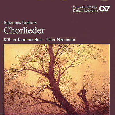 Brahms: 7 Lieder, Op. 62 - No. 1 Rosmarin/Thomas Palm／ケルン室内合唱団／ペーター・ノイマン