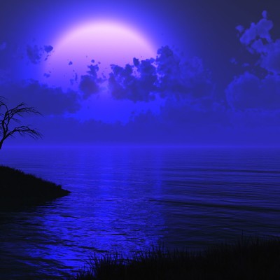 Moonlit Night Time/Sleeping Fairy
