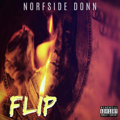 Flip/Norfside Donn