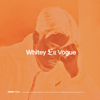 アルバム/100k Fehler/Whitey en vogue／Robbensohn