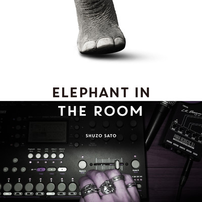 シングル/Elephant In The Room/Shuzo Sato