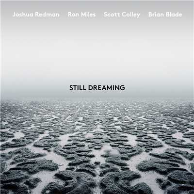 The Rest (feat. Ron Miles, Scott Colley & Brian Blade)/ジョシュア・レッドマン