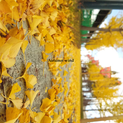 Autumn wind/Super.K