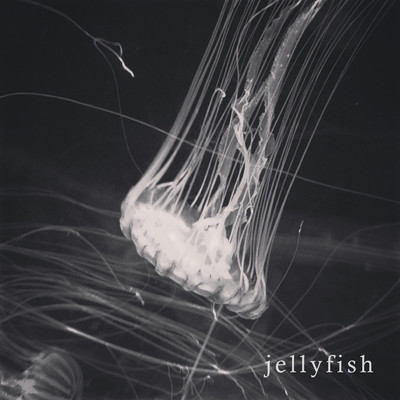 シングル/jellyfish/dadaji ueda