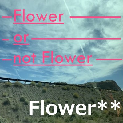Flower or not Flower/Flower**