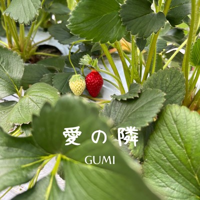 愛の隣 (feat. H.B.P)/GUMI