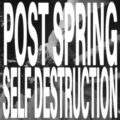 アルバム/post spring self destruction (Explicit)/aldn