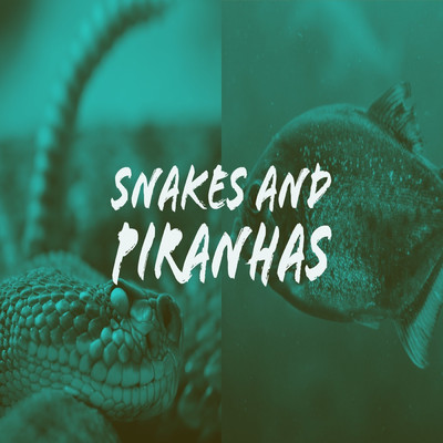 シングル/Snakes and Piranhas (feat. YB3)/Dmac Productions