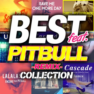 アルバム/BEST feat. PITBULL COLLECTION -REMIX-/Various Artists