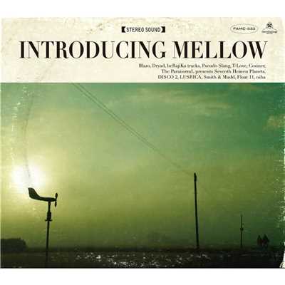 INTRODUCING MELLOW/Various Artists