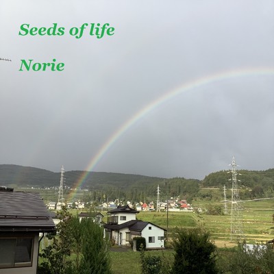 Seeds of life/NORIE