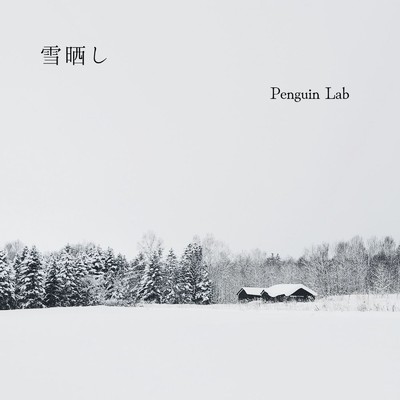 シングル/雪晒し/Penguin Lab