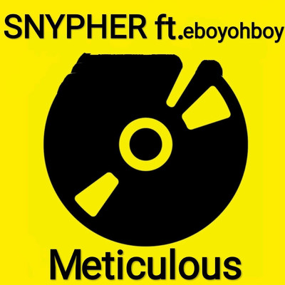 Meticulous (feat. eboyohboy)/SNYPHER