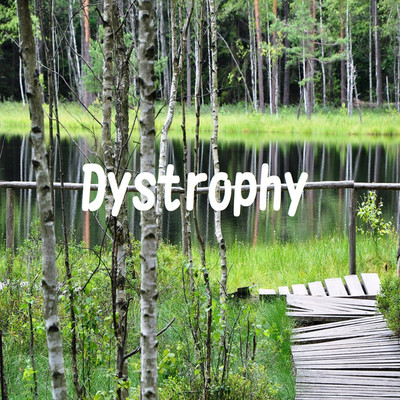 アルバム/dystrophy/Statusquarterman