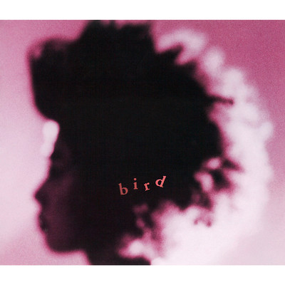 アルバム/bird/bird