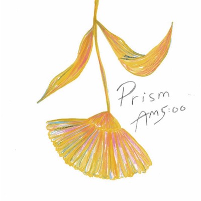 アルバム/Prism ／ AM5:00/kasa.