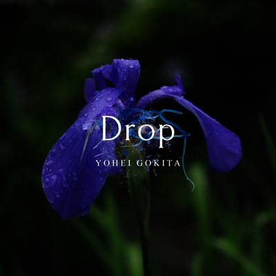 Drop/yohei gokita