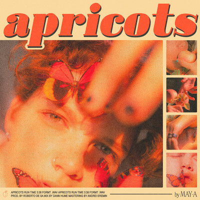 Apricots/MAY-A