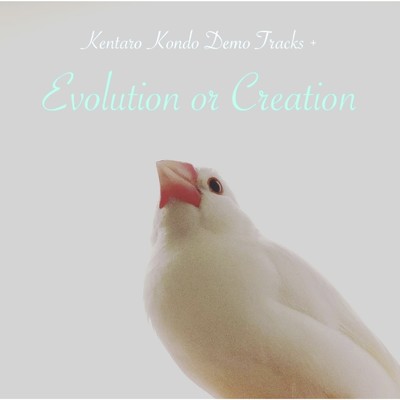 Evolution or Creation(Demo Tracks +)/近藤健太郎