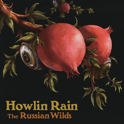 Can't Satisfy Me Now/Howlin Rain