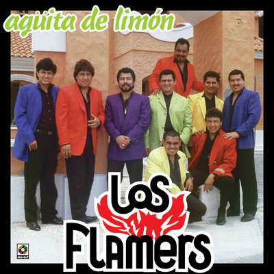 シングル/Me Vas A Recordar/Los Flamers