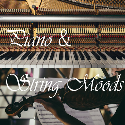 アルバム/Piano & String Moods/Rea Meir