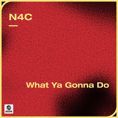 シングル/What Ya Gonna Do/N4C