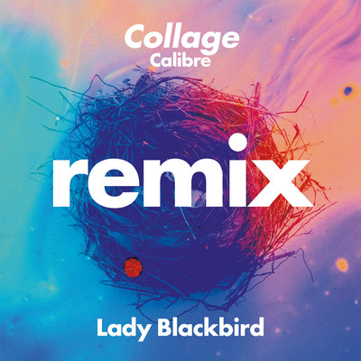 アルバム/Collage (Calibre Remix)/Lady Blackbird