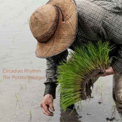 Celestial Symphony/The Potato Wedges
