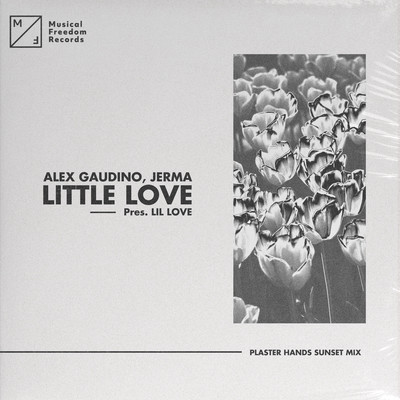 Little Love (pres. Lil' Love) [Plaster Hands Sunset Mix]/Alex Gaudino／Jerma