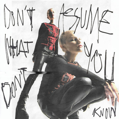 Don't Assume What You Don't Know/Grace VanderWaal