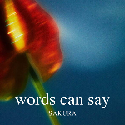 アルバム/words can say/SAKURA